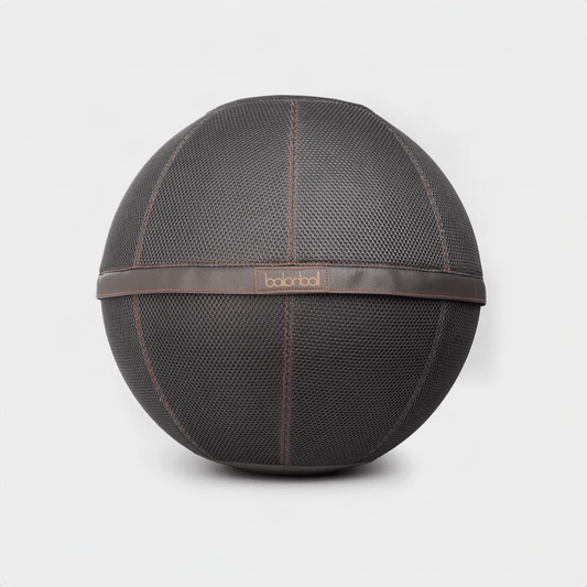 Balanball 65cm in Granite — dark brown textured fabric cover with leather band, front view