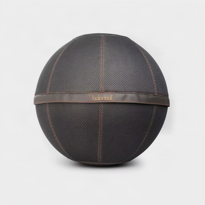 Balanball 65cm in Granite — dark brown textured fabric cover with leather band, front view