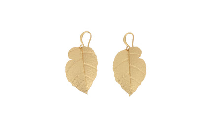 Matt Gold Brass Birch Leaf Earrings showing a pair of textured leaf-shaped drop earrings with hook fastening in matt gold finish, product shot on white background