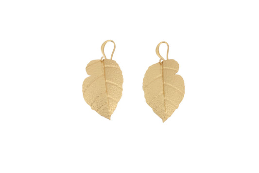 Matt Gold Brass Birch Leaf Earrings showing a pair of textured leaf-shaped drop earrings with hook fastening in matt gold finish, product shot on white background